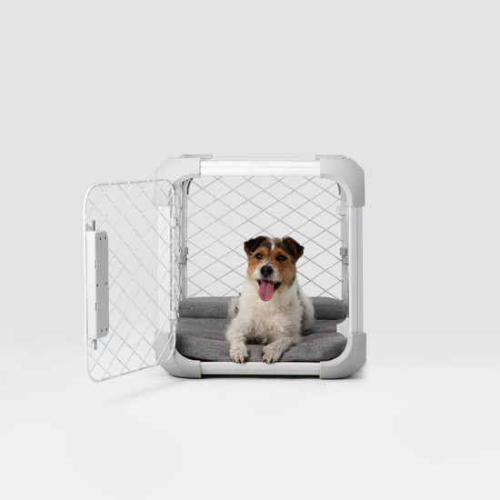 Diggs - Evolv Dog Crate  Image