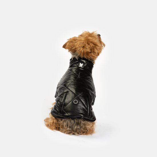 Phoenix Dog Jacket - Black  Image