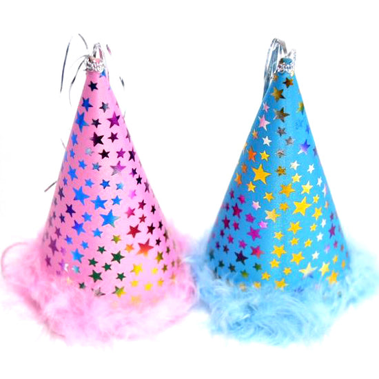 Charming Pet Party Hats  Image