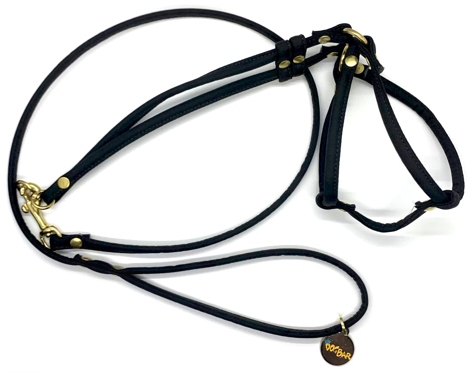 Dog Bar Brass Step-In Nylon Dog Harness w/ Leash  Image