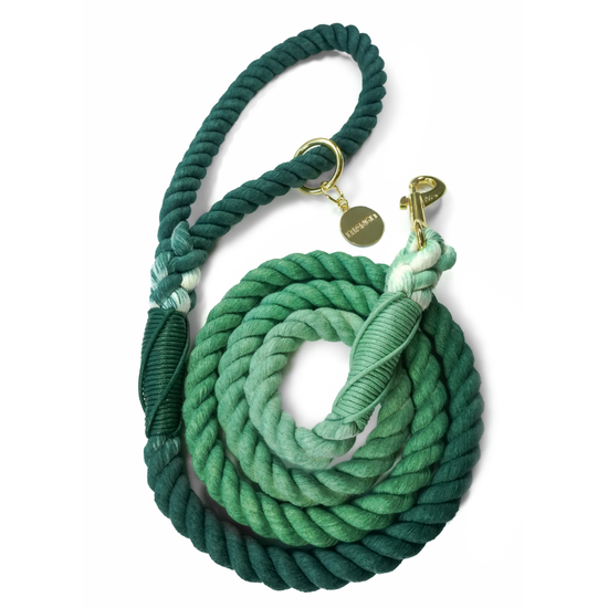 Cotton Rope Dog Leash Forest Green Image