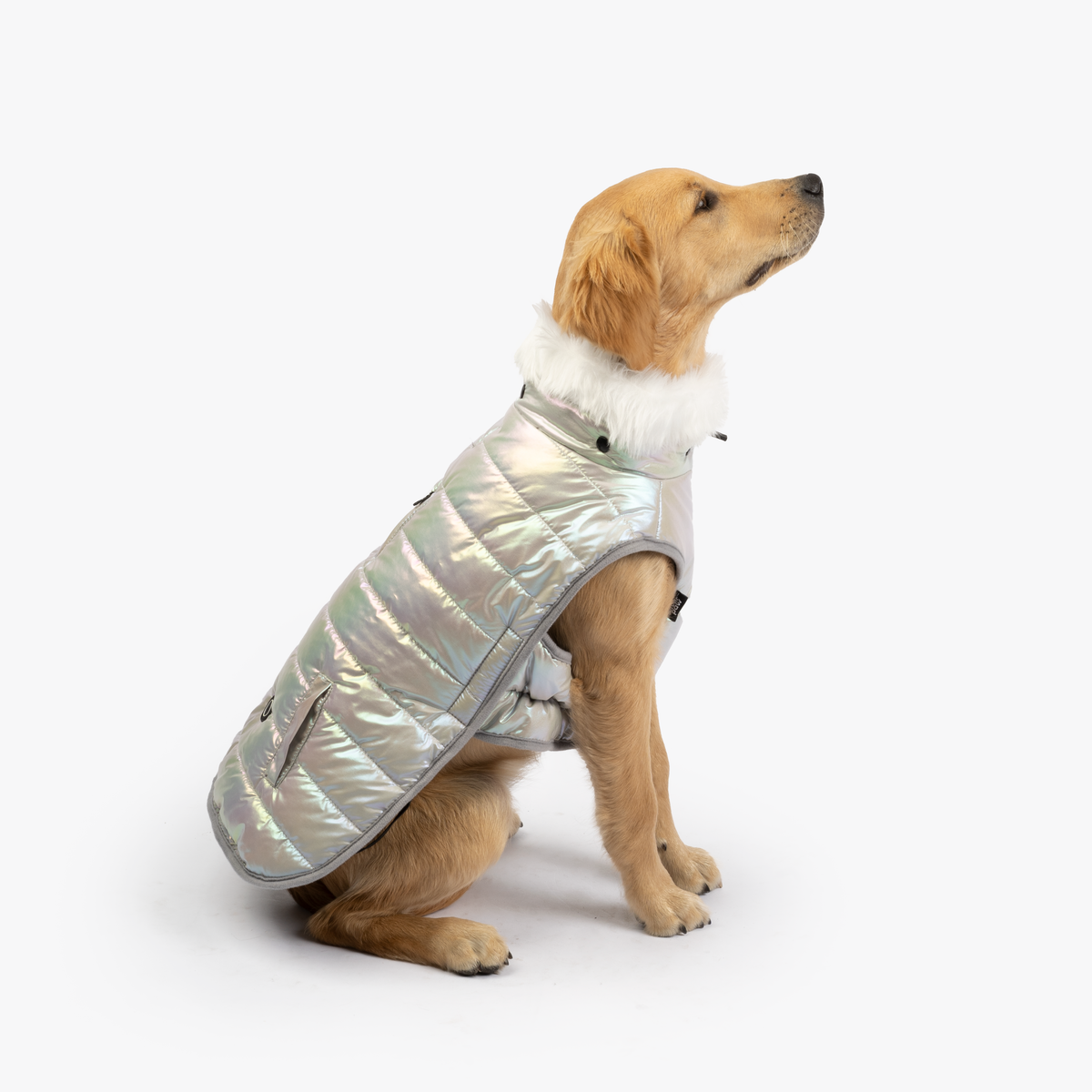 Nikka Easy Fit Jacket (Silver) – The Dog Bar