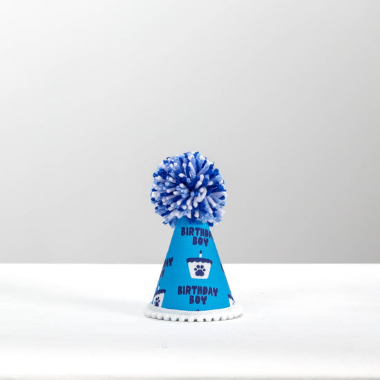 Pup Party Hats - Birthday Blue Boy  Ink Party Hat 