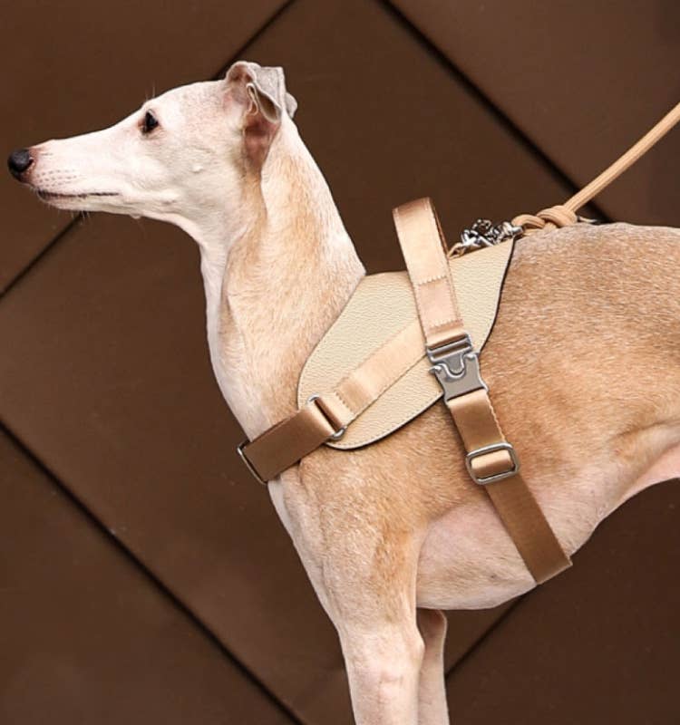 Hozi - Saddle Harness - Beige Image