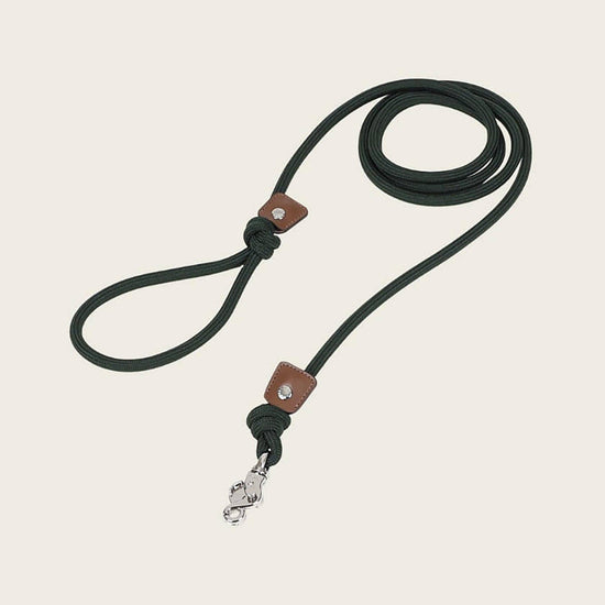 Hozi - Essential Leash - Deep Green Image
