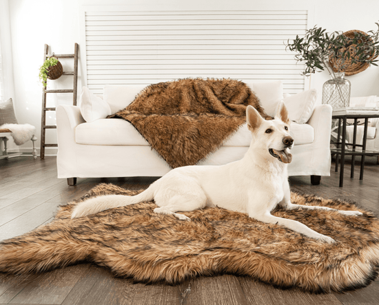 Paw Brands - PupRug by Paw.com™ Faux Fur Orthopedic Dog Bed - Curve Sable Tan Image