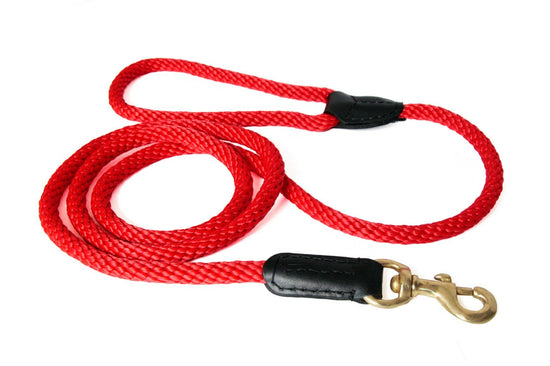Alvalley - Rope and Leather Snap Lead Image