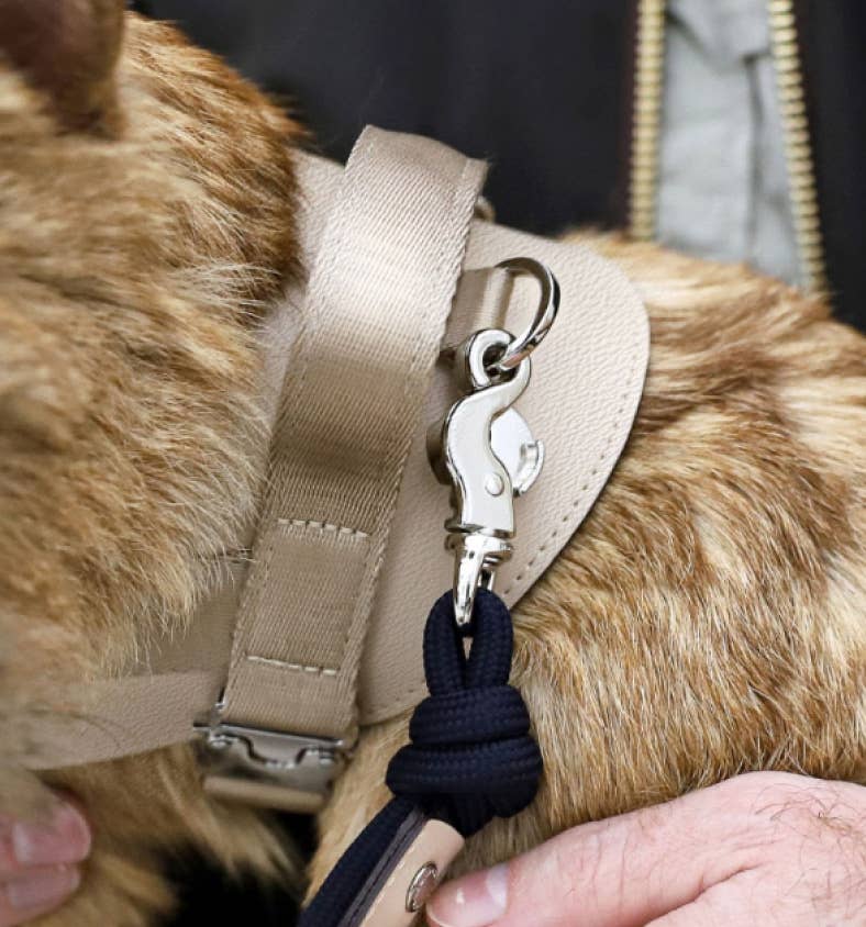 Hozi - Saddle Harness - Beige Image