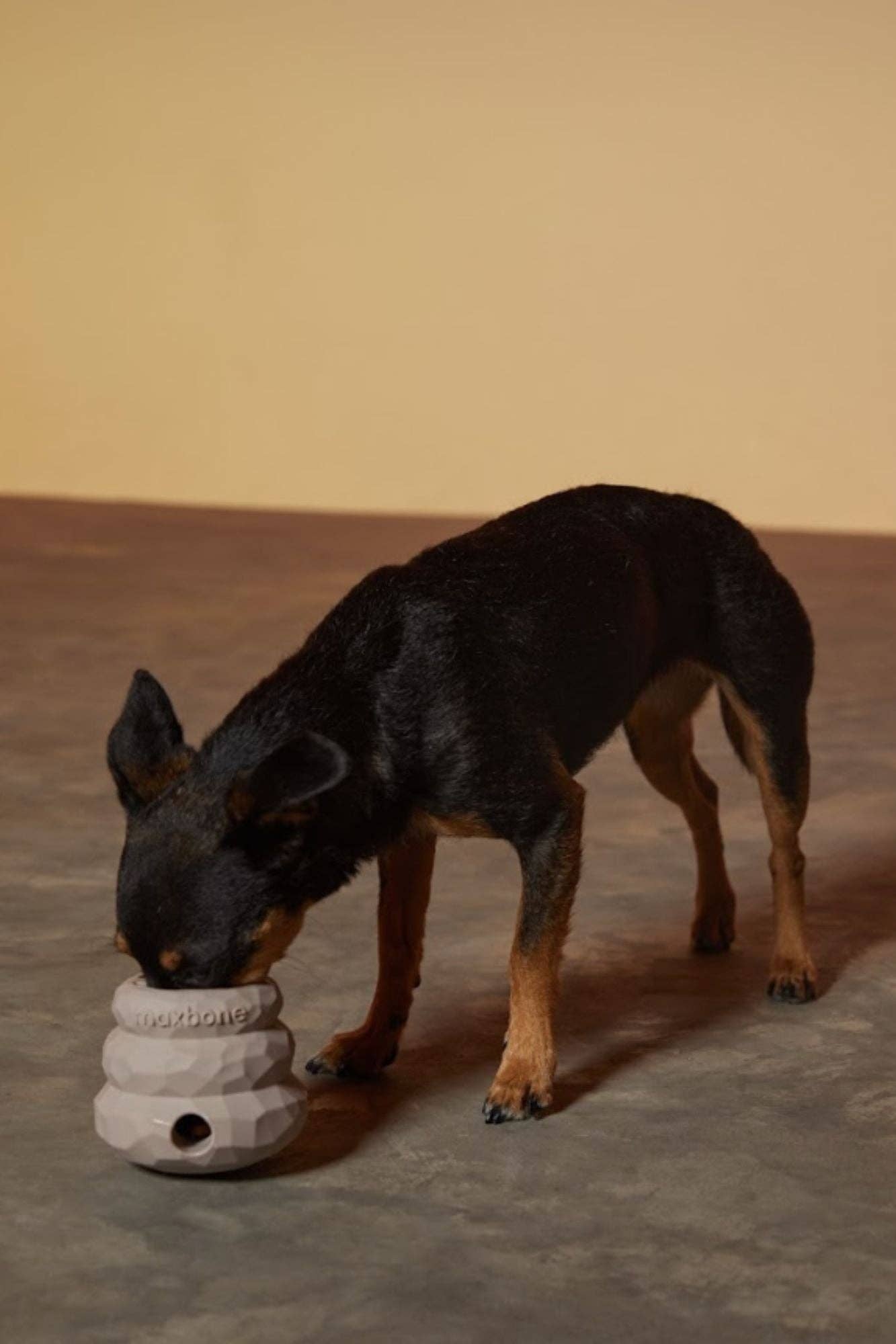 maxbone - Honeycomb Balance Dog Toy Image