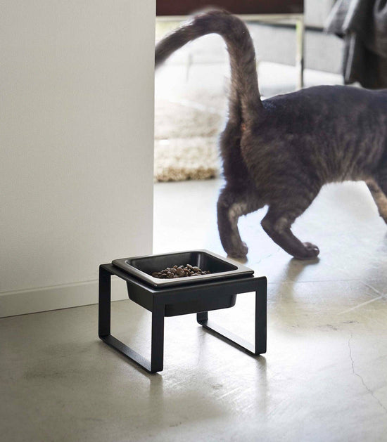 Load image into Gallery viewer, Yamazaki Home - Single Pet Food Bowl - Steel + Ceramic / Short  Image
