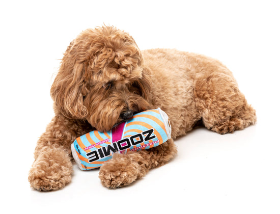 FuzzYard Zoomie Energy Drink Plush Dog Toy  Image