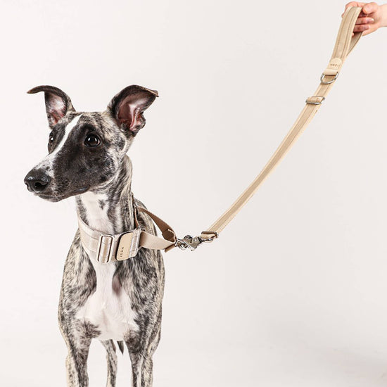 Hozi - Half Leash : Beige Image