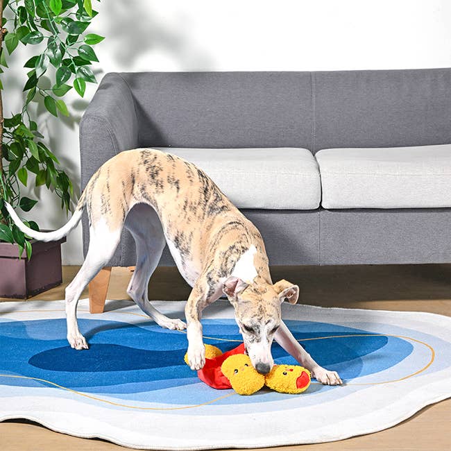 Hugsmart Products Inc - HugSmart Pet - Food Party | Chicken Nuggets -Interactive Toy Image