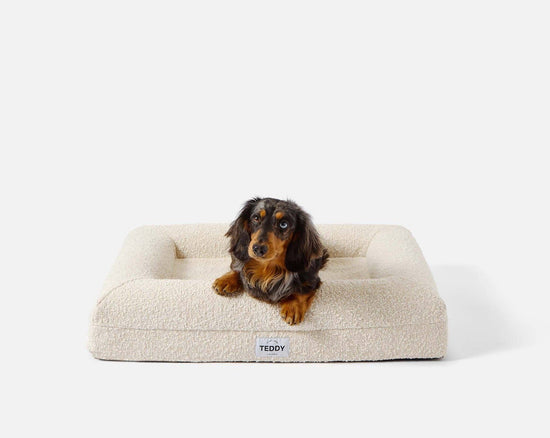 Load image into Gallery viewer, TEDDY LONDON - SMALL BOUCLE DOG AND CAT  BED  Image
