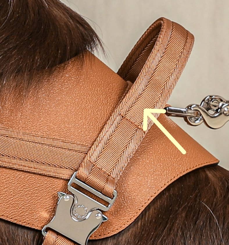 Hozi - Saddle Harness - Camel Image