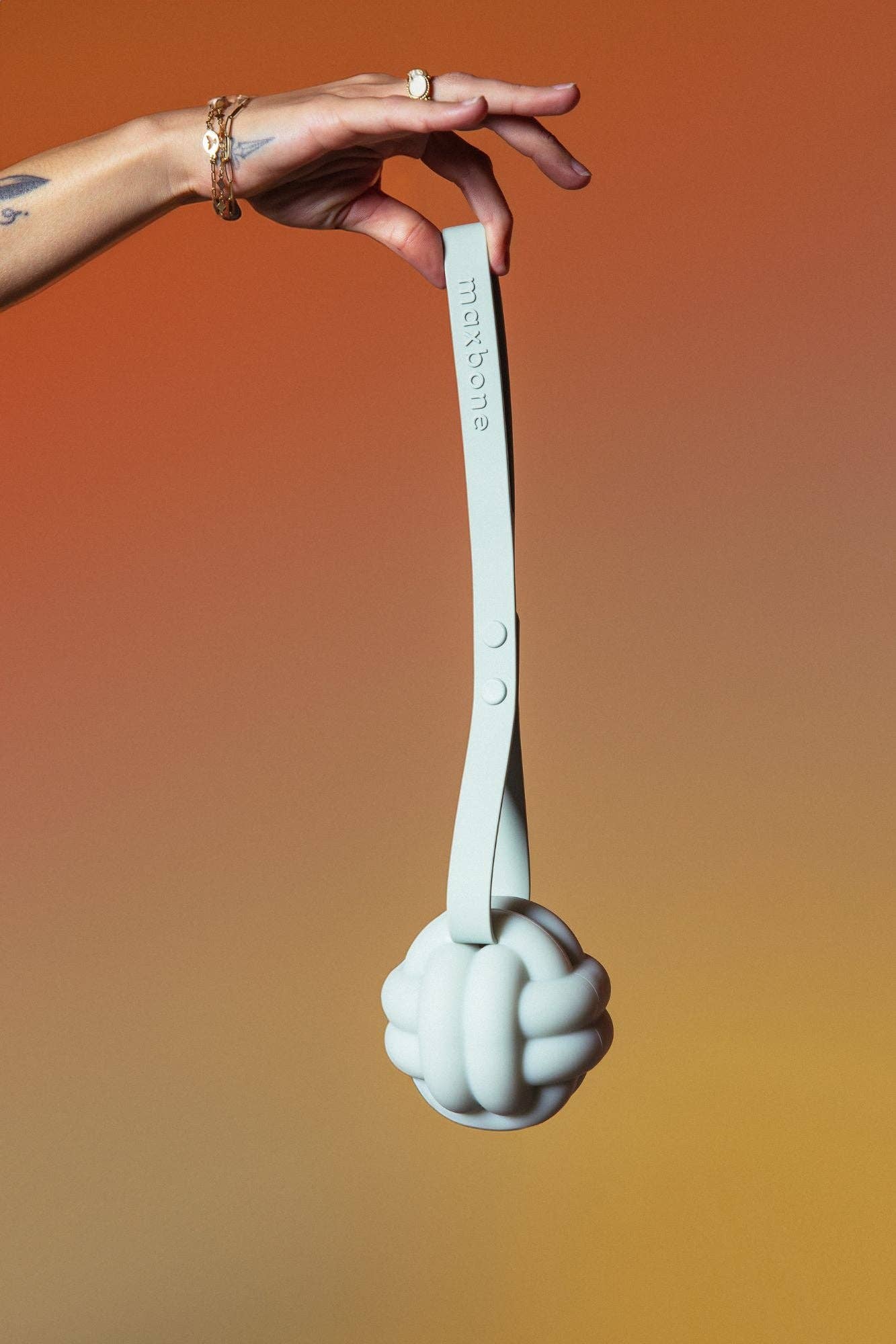 maxbone - Enrichment Tether Toy Image