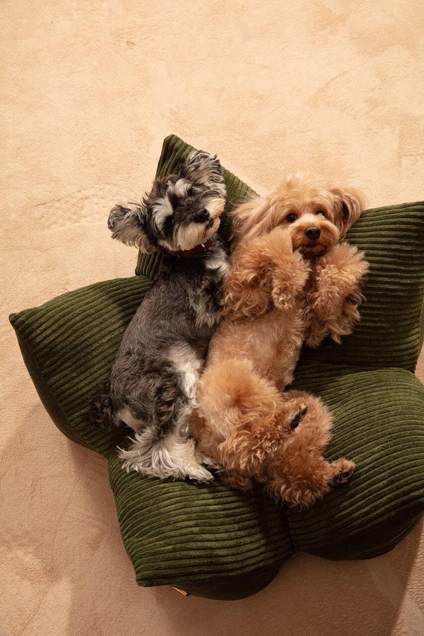 PEHOM - OULU X PEHOM - CUDDLE PET PILLOW BED- Navy Blue / Olive Green / Canyon Brown Image