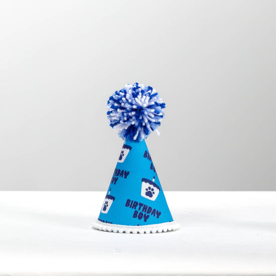 Pup Party Hats - Birthday Blue Boy  Ink Party Hat 