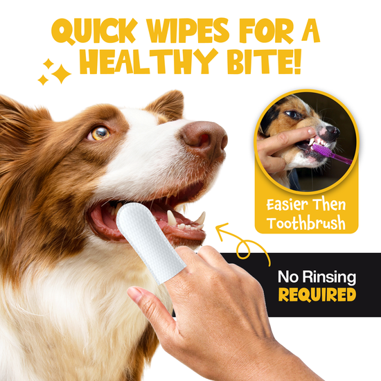 Roofus - Roofus Dental Wipes | Peanut Butter | 60ct Image