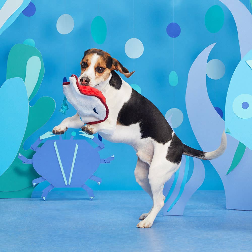 Pet Palette Distribution - BARK Sting Crosby the Ray Image