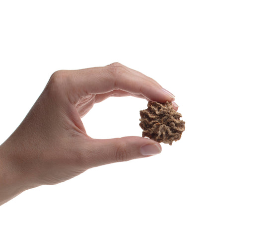 Preen Pets - Beef & Pumpkin Cookies Image