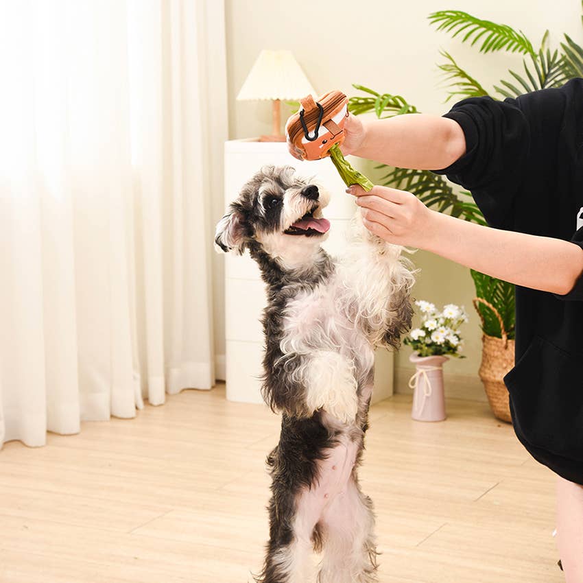 Hugsmart Products Inc - HugSmart Pet– Pooch Pouch | Bubble Tea Image