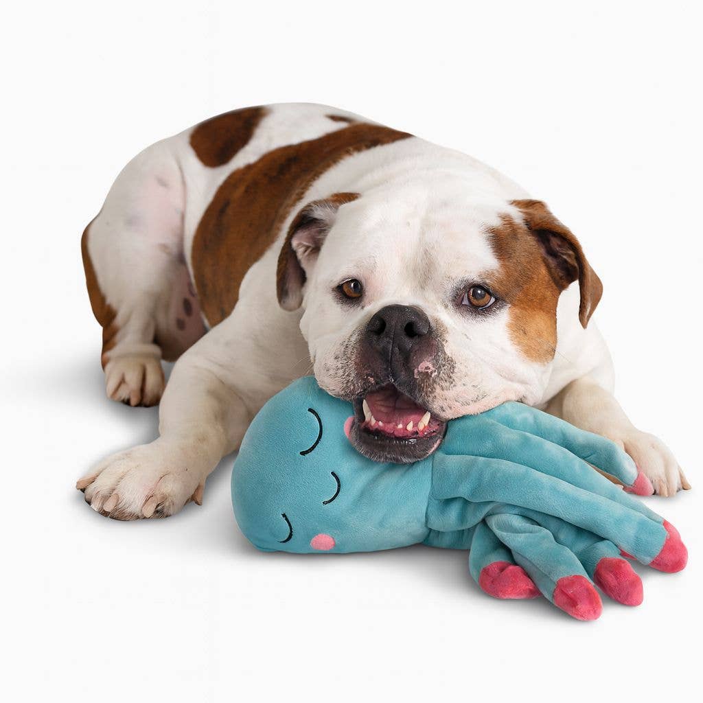 Nandog Pet Gear - My BFF™ Gus Image