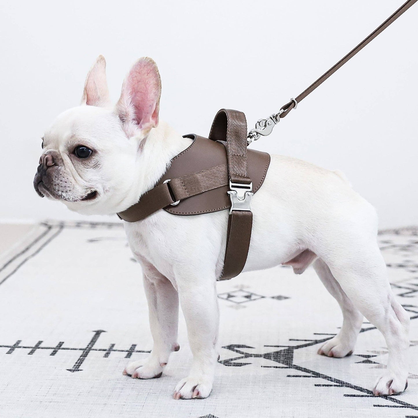 Hozi - Saddle Harness : Pink Image