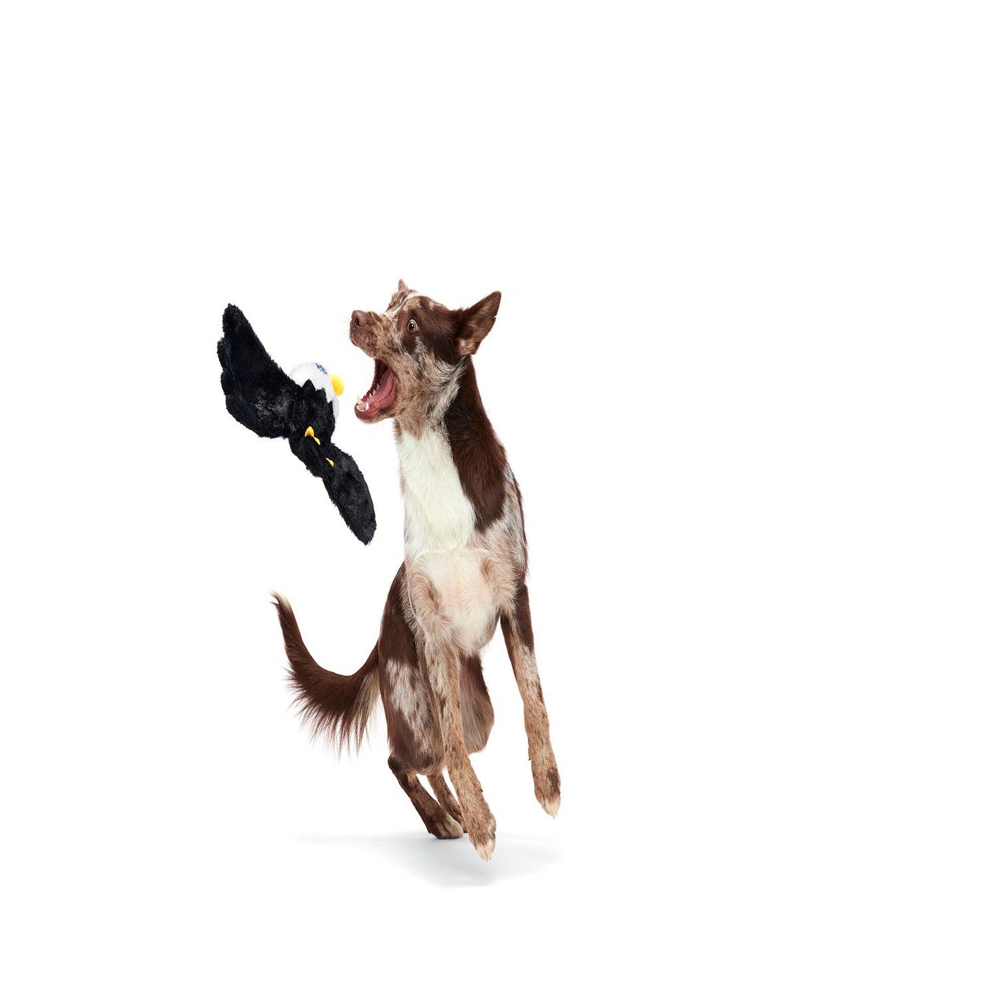 Pet Palette Distribution - BARK Bold Eagle Fourth Of July American Plush Dog Toy Image