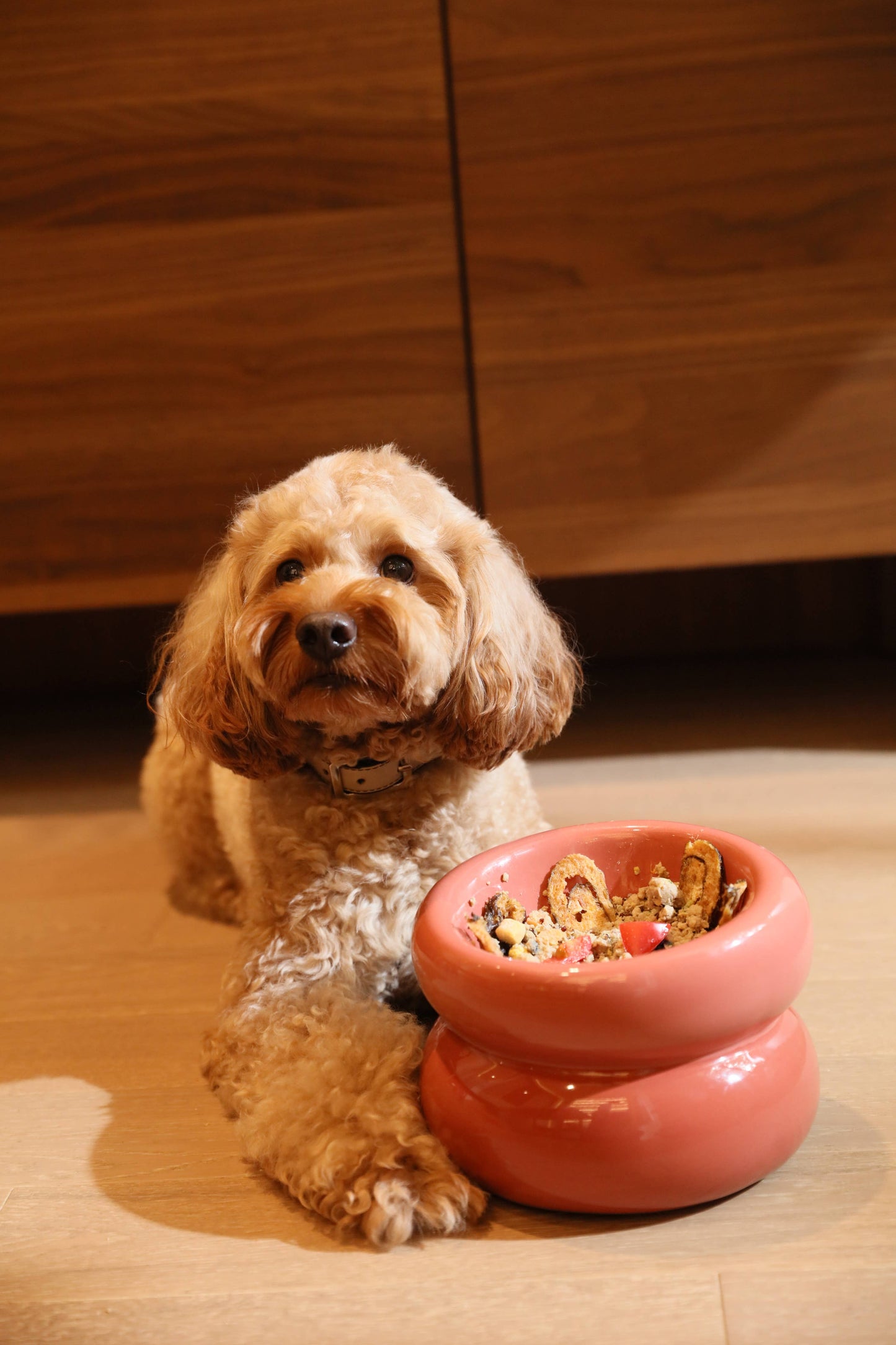PEHOM - Soufflé Pet Bowl - Rose Pink Image