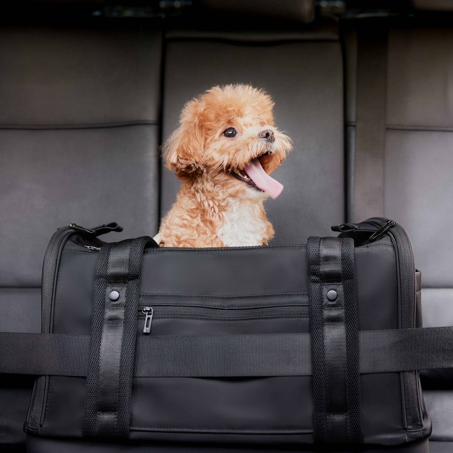 Pups & Bubs - Onboard Travel Pet Carrier (Airline Compliant) Image