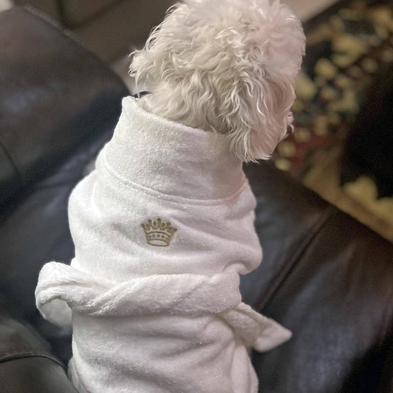 Doggie Design - White Gold Crown Cotton Dog Bathrobe by Doggie Design Image