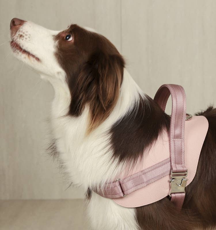 Hozi - Saddle Harness : Pink