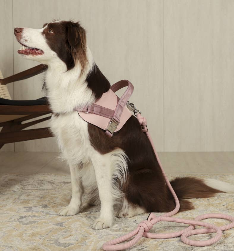 Hozi - Saddle Harness : Pink