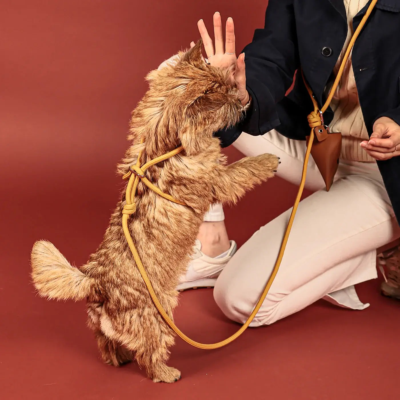 Hozi - All-in-one Harness : mustard Image