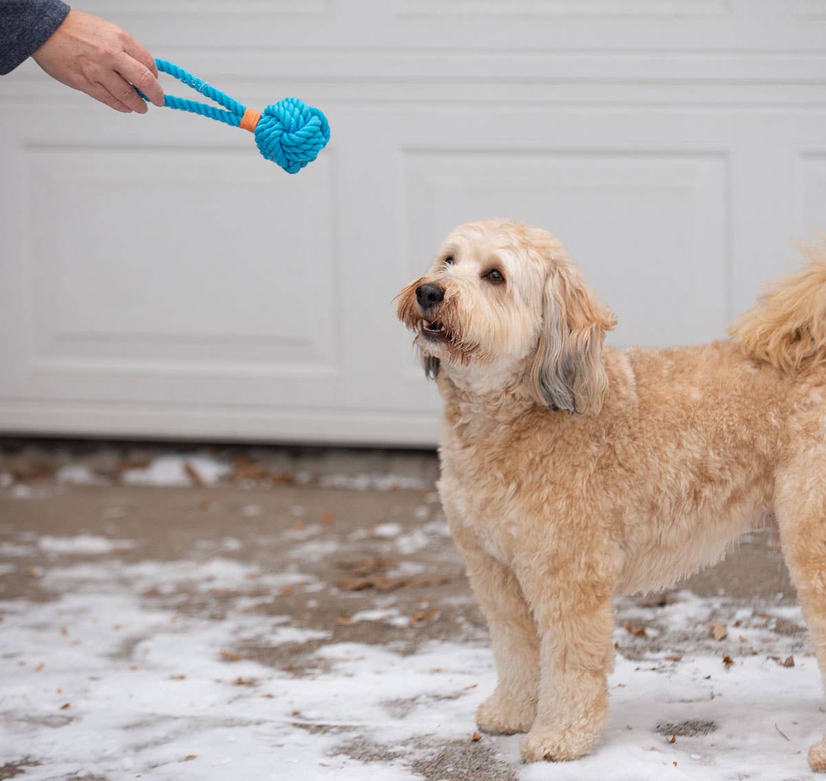 ThoozyPet Ball Tug Rope Dog Toy with Handle Orange 3" Image