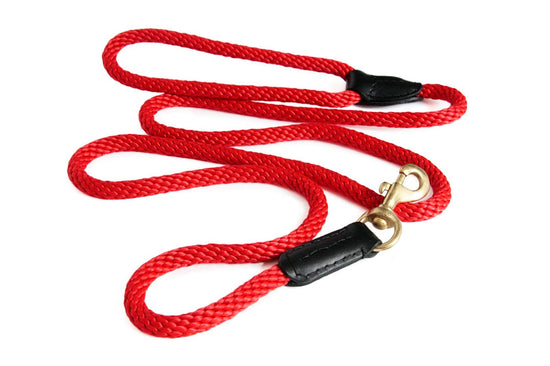 Alvalley - Rope and Leather Snap Lead Image