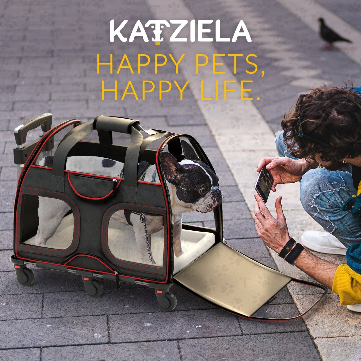 Luxury Rider Pet Carrier with Removable Wheels - 4 Colors: Black and Blue  Image