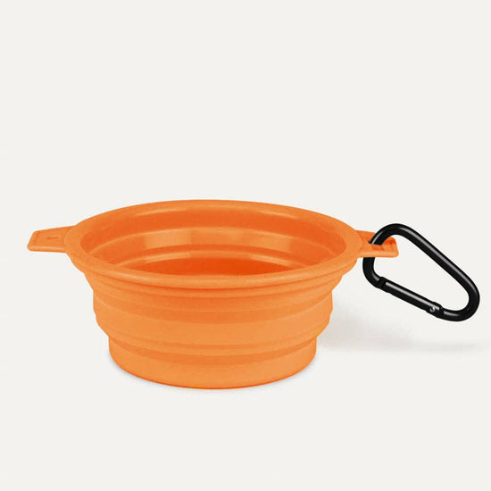 Load image into Gallery viewer, Tilley + Me - Desert Tones Travel Collapsible Pet Bowl with Carabiner Clip Hunter Orange Image
