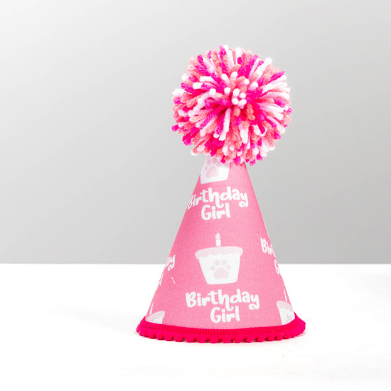 Pup Party Hats - NEW Birthday Girl Pink Ink Party Hat