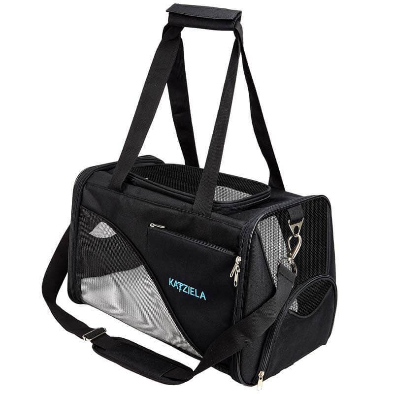 Katziela - Safari Sleeper Image