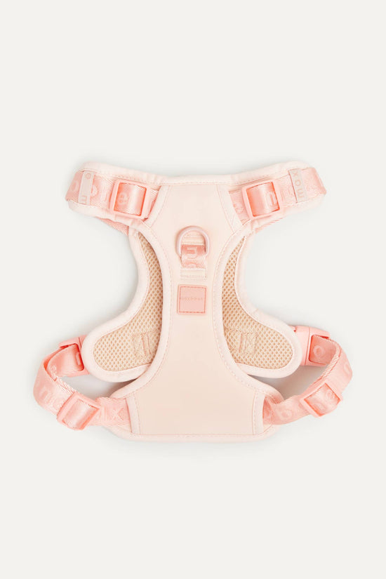 maxbone - Easy Fit Dog Harness Image
