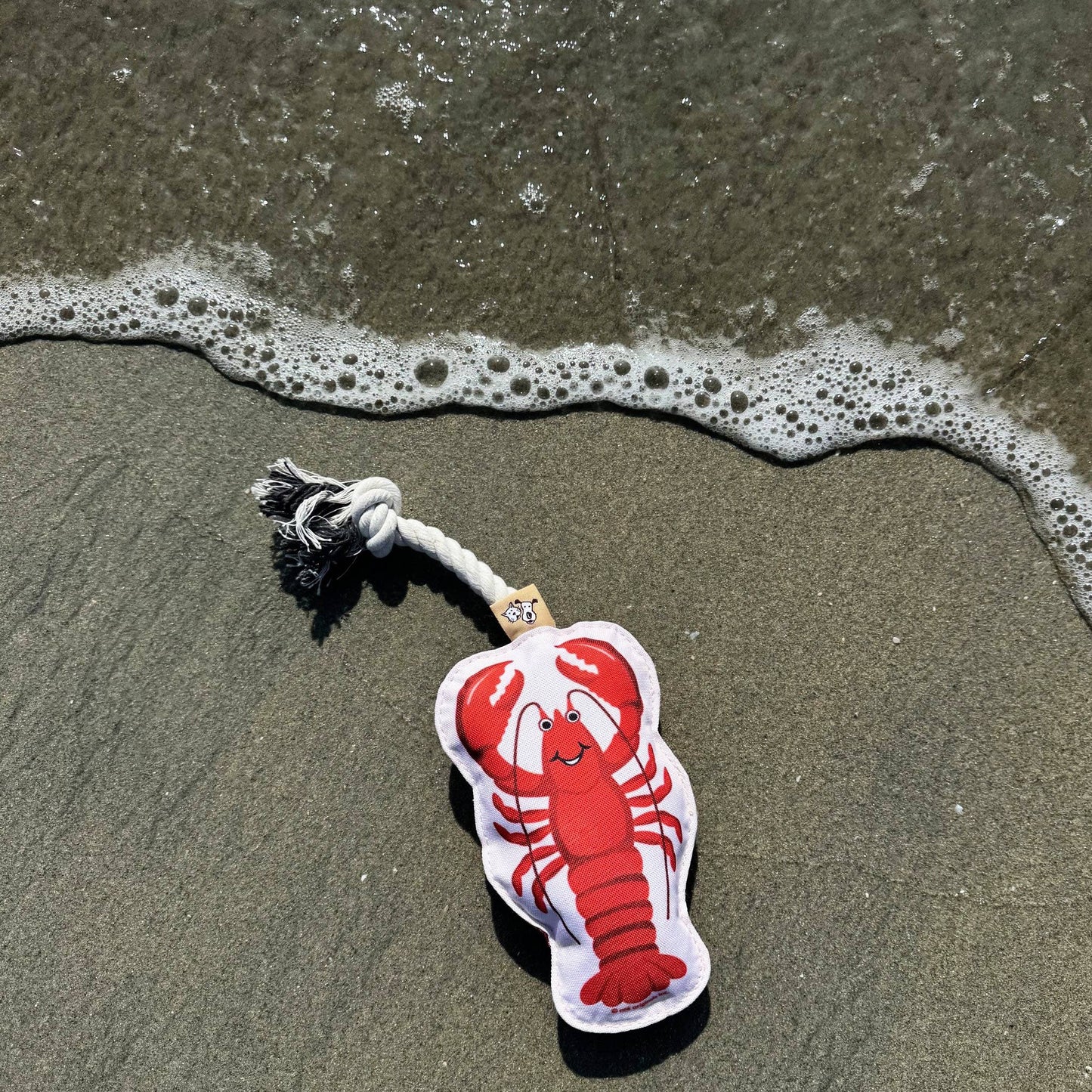 Speckle and Spot by Ore’ Originals - Rope Dog Toy | Lobster Image