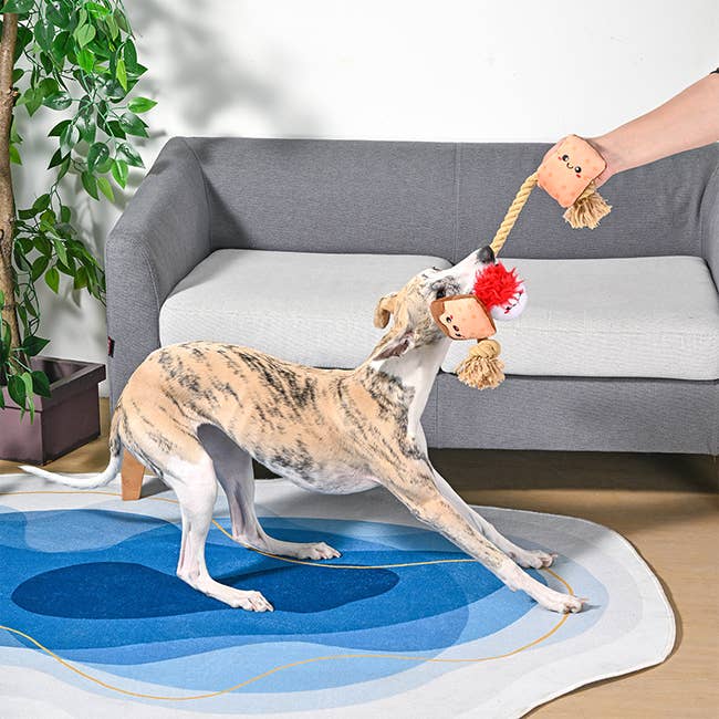 Hugsmart Products Inc - HugSmart Pet - Camping Pups | S'mores Tug - Rope Toy Image