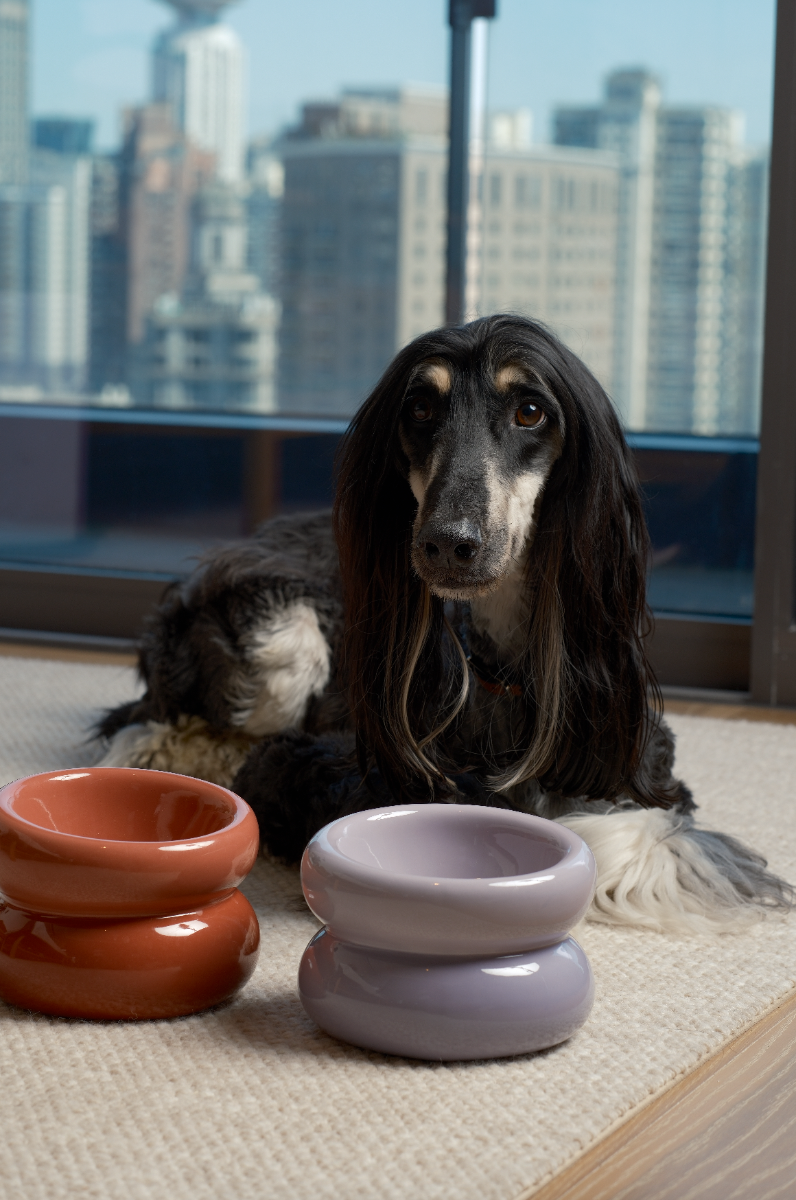 PEHOM - Soufflé Pet Bowl - Purple Image