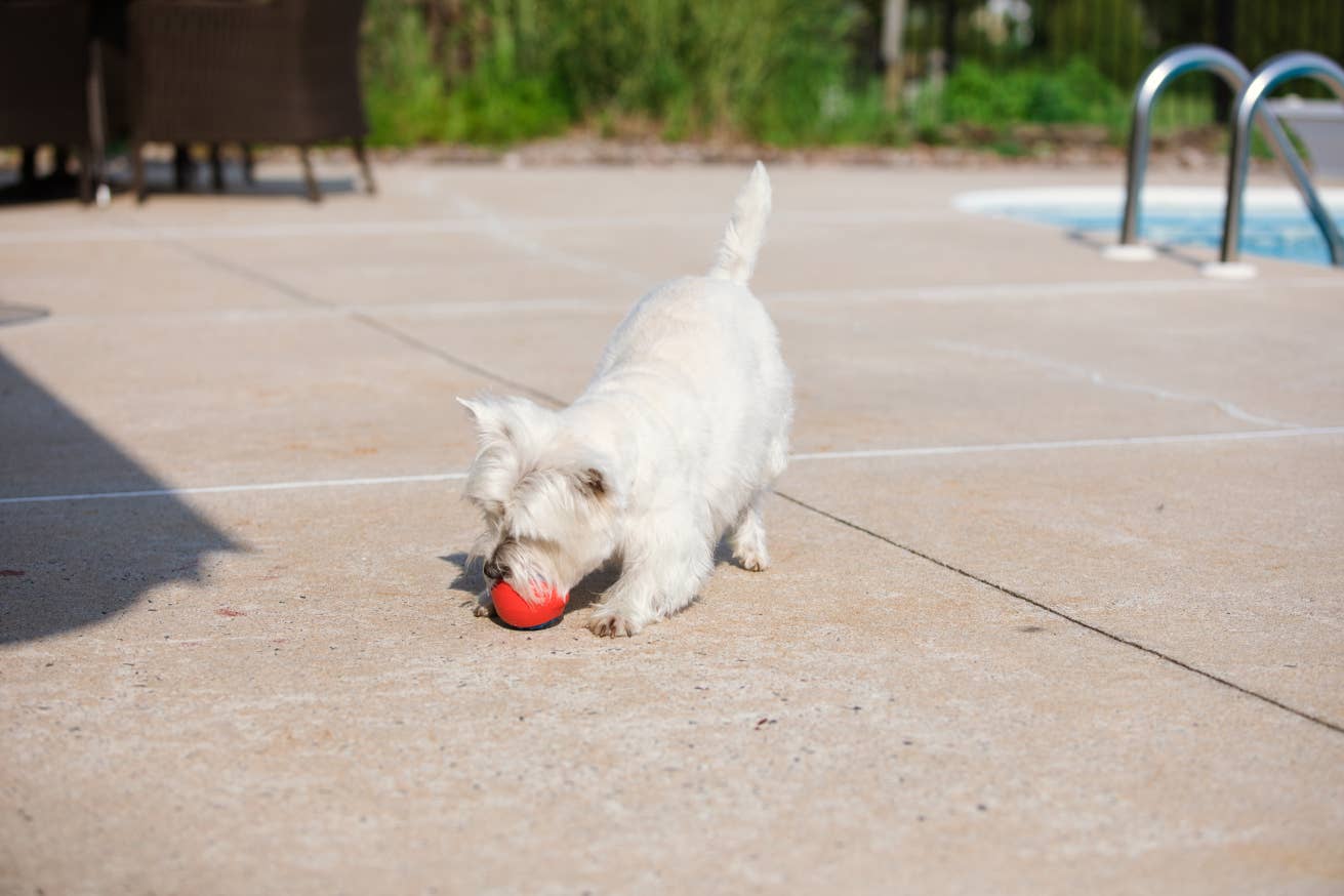 Caitec Inc - Outer Armor Small Ball Image