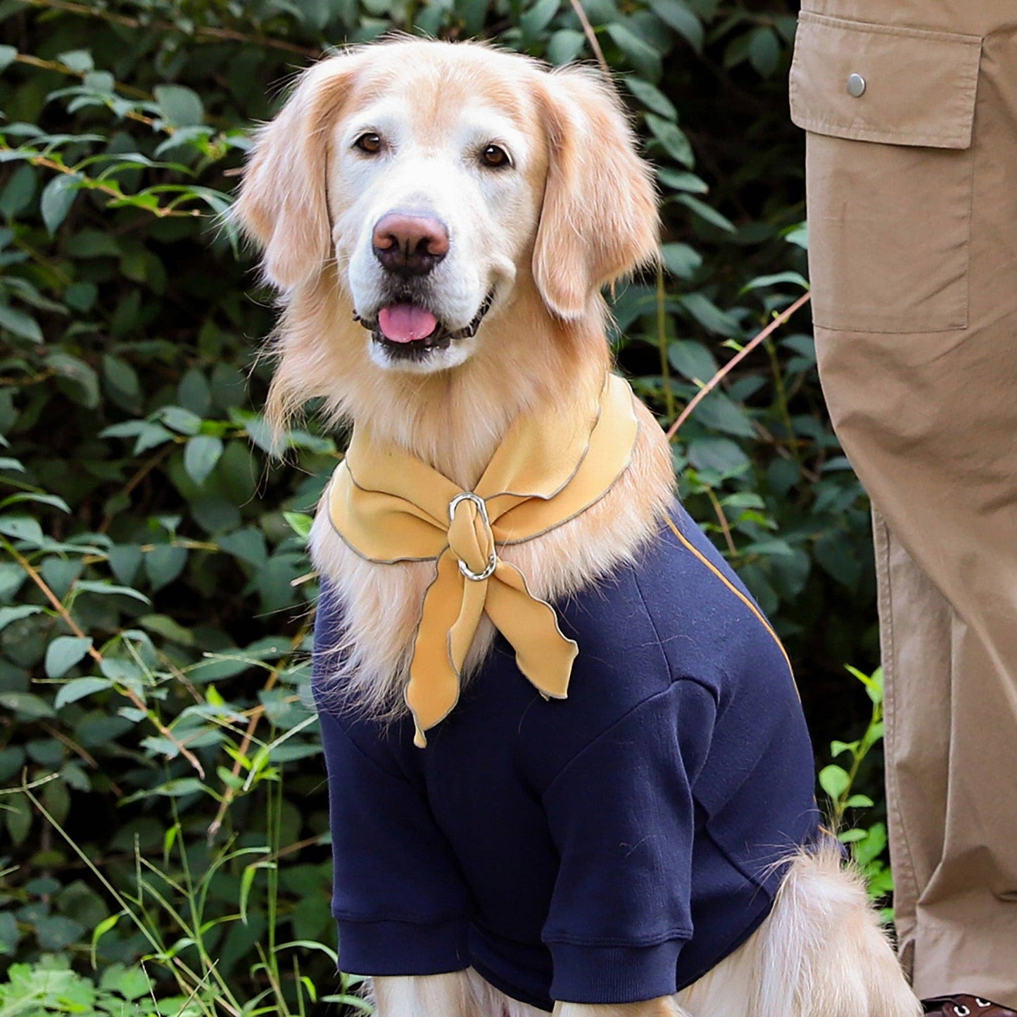 Hozi - Doggie Scarf : Mustard Image