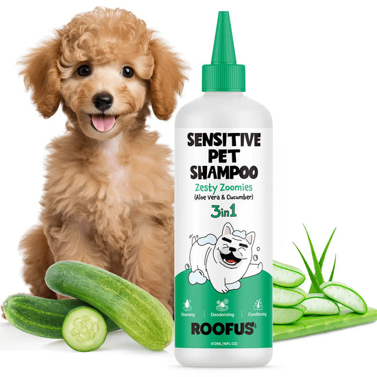 Roofus - Roofus Pet Shampoo - 1 Pack Zesty Zoomies (Aloe Vera & Cucumber) Image