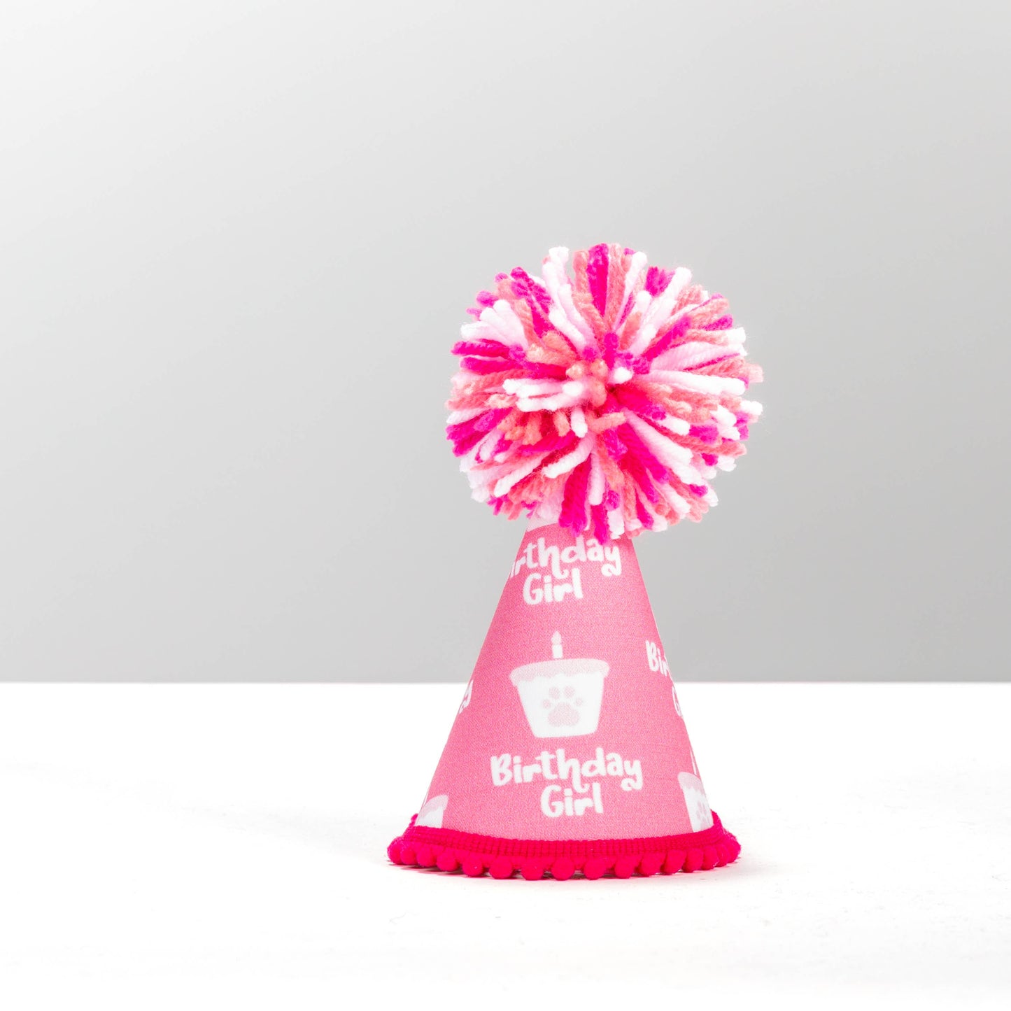Pup Party Hats - NEW Birthday Girl Pink Ink Party Hat