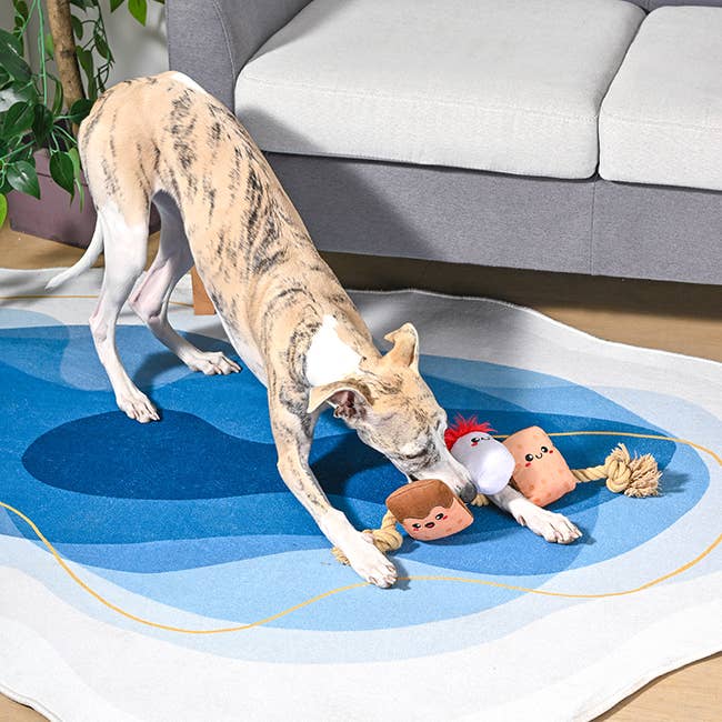 Hugsmart Products Inc - HugSmart Pet - Camping Pups | S'mores Tug - Rope Toy Image